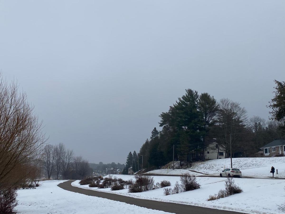 Silver Maple Motel Haliburton Εξωτερικό φωτογραφία